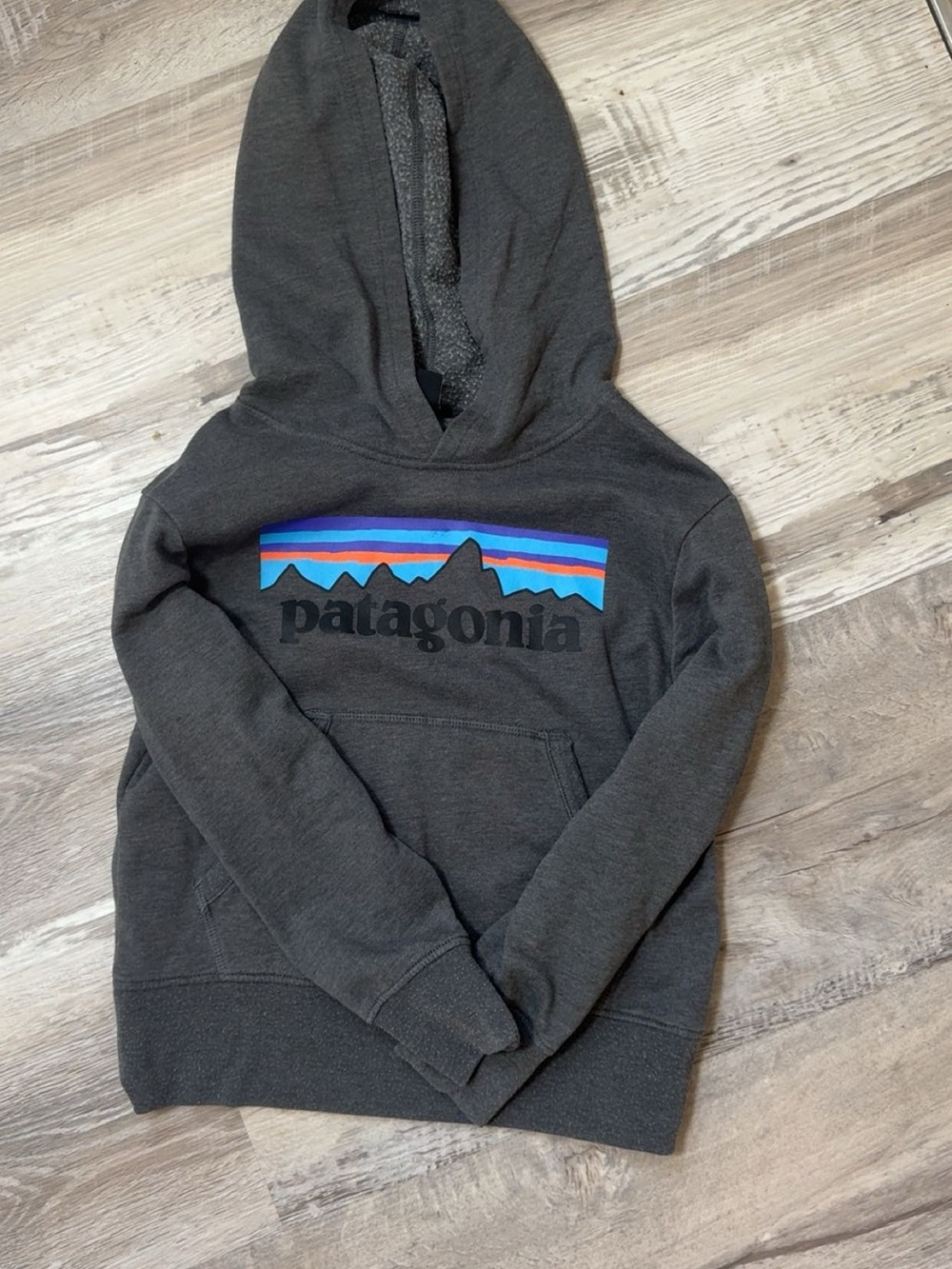 Patagonia Kids Dark Gray Hoodie with Multicolor Mountain Logo